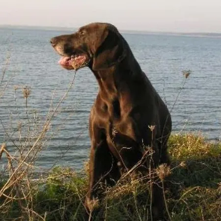 Sommerlust * Fuhlendorf (Mecklenburg-Vorpommern)