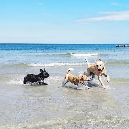 Sommerlust Fuhlendorf (Mecklenburg-Vorpommern)