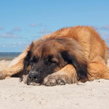 Hébergement de vacances Sommerlust Fuhlendorf (Mecklenburg-Vorpommern)